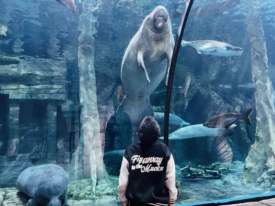 640-10.jpeg 640-10.jpeg